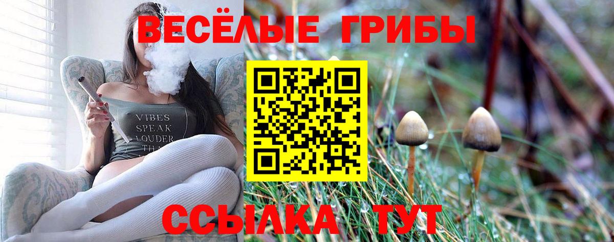 Галлюциногенные грибы ЛСД Анжеро-Судженск