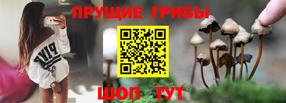 Анжеро-Судженск  Галлюциногенные грибы прущие грибы  Вход с VPN  Галлюциногенные грибы Magic Shrooms 