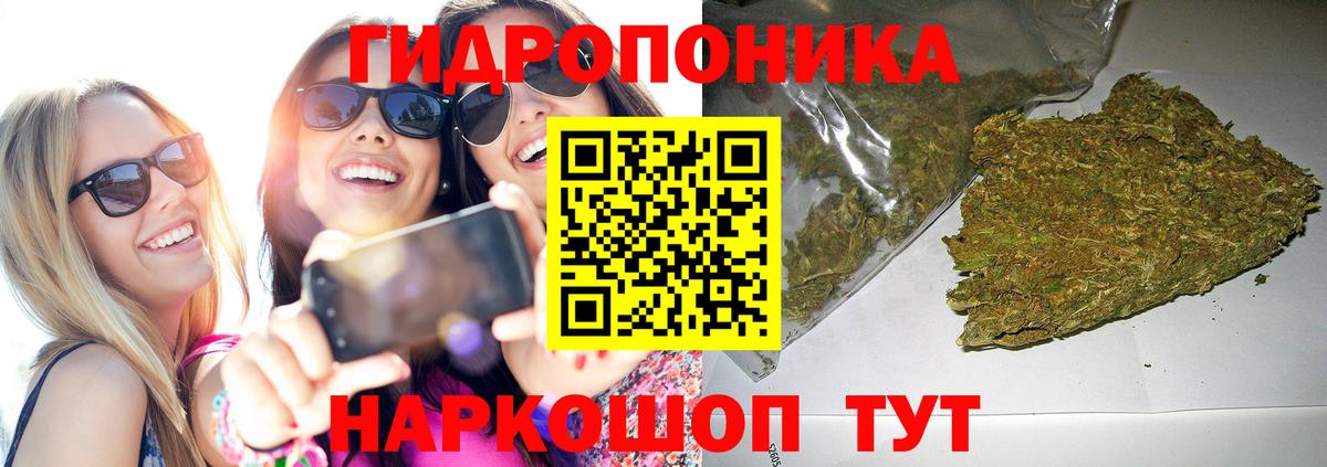 Шишки марихуана Bruce Banner Анжеро-Судженск